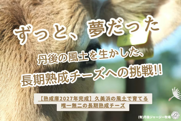 クラウドファンディング、スタートしました！！（2/11水：公開中）