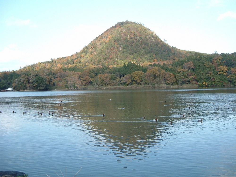 京都 丹後ジャージー牧場 ミルク工房そら